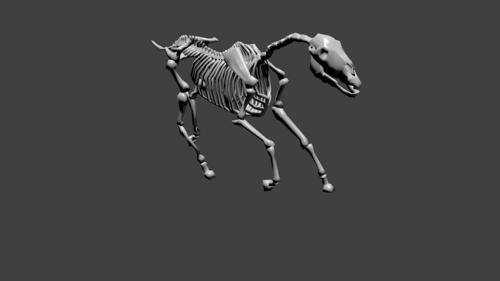 Horse Skeleton, Rigged, UnTextured preview image